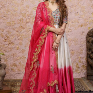 Pink & White Ombré Anarkali Set With Dupatta